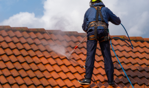 roof cleaning